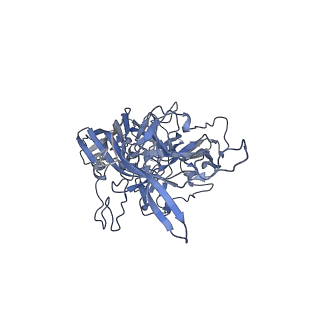 23200_7l6a_z_v1-1
The genome-containing AAV12 capsid