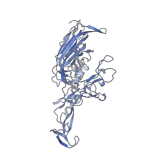 23201_7l6b_2_v1-1
The empty AAV12 capsid