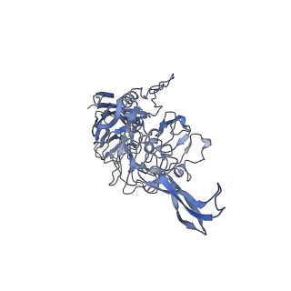 23201_7l6b_3_v1-1
The empty AAV12 capsid