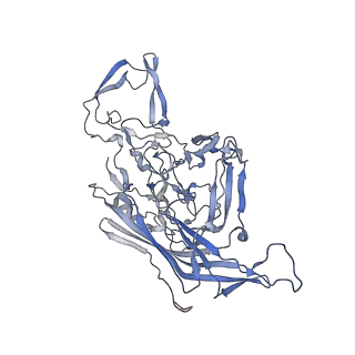 23201_7l6b_5_v1-1
The empty AAV12 capsid