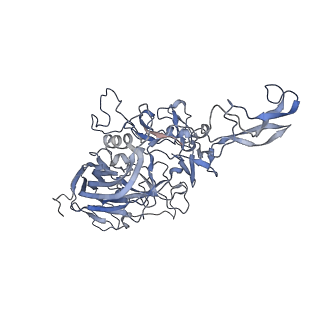 23201_7l6b_6_v1-1
The empty AAV12 capsid