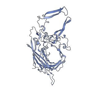 23201_7l6b_8_v1-1
The empty AAV12 capsid