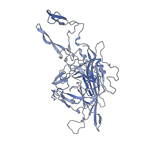 23201_7l6b_F_v1-1
The empty AAV12 capsid