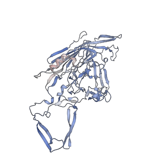 23201_7l6b_H_v1-1
The empty AAV12 capsid