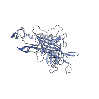 23201_7l6b_I_v1-1
The empty AAV12 capsid