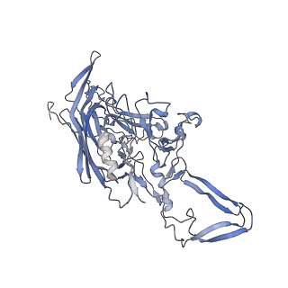 23201_7l6b_K_v1-1
The empty AAV12 capsid