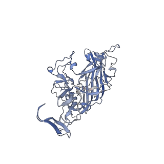 23201_7l6b_N_v1-1
The empty AAV12 capsid