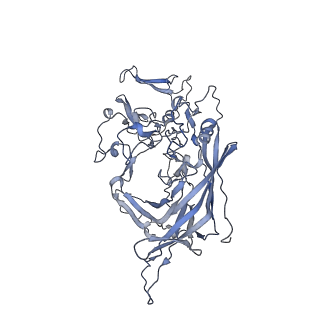 23201_7l6b_O_v1-1
The empty AAV12 capsid