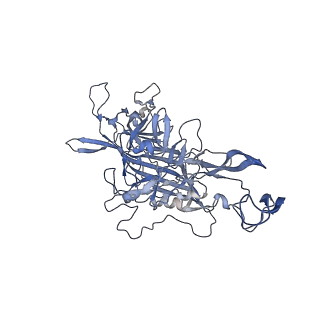 23201_7l6b_Q_v1-1
The empty AAV12 capsid