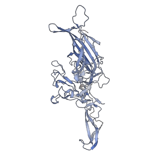 23201_7l6b_S_v1-1
The empty AAV12 capsid