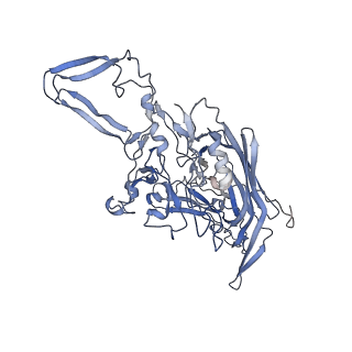 23201_7l6b_T_v1-1
The empty AAV12 capsid