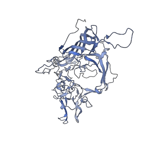 23201_7l6b_V_v1-1
The empty AAV12 capsid