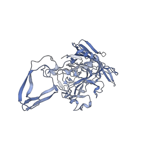 23201_7l6b_X_v1-1
The empty AAV12 capsid