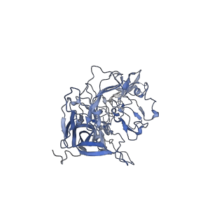 23201_7l6b_a_v1-1
The empty AAV12 capsid