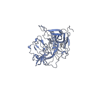 23201_7l6b_d_v1-1
The empty AAV12 capsid