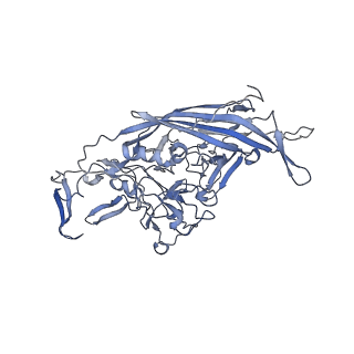 23201_7l6b_f_v1-1
The empty AAV12 capsid