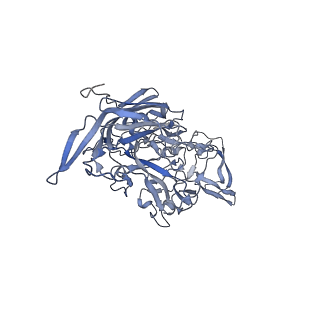 23201_7l6b_h_v1-1
The empty AAV12 capsid