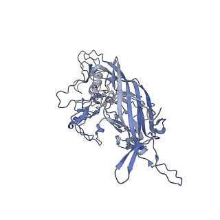 23201_7l6b_i_v1-1
The empty AAV12 capsid