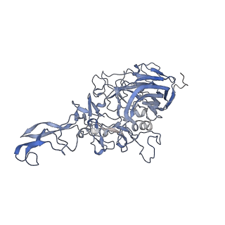 23201_7l6b_k_v1-1
The empty AAV12 capsid