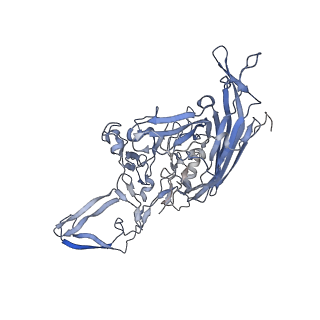 23201_7l6b_m_v1-1
The empty AAV12 capsid