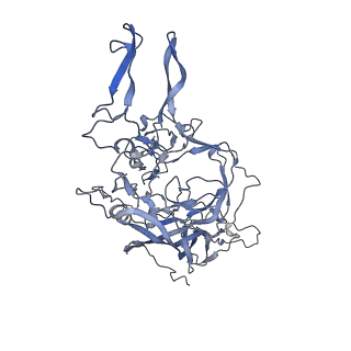 23201_7l6b_p_v1-1
The empty AAV12 capsid