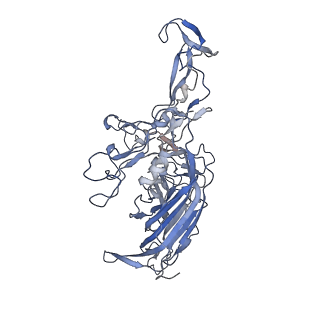 23201_7l6b_r_v1-1
The empty AAV12 capsid