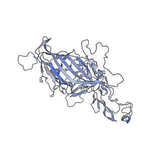 23201_7l6b_t_v1-1
The empty AAV12 capsid