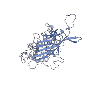 23201_7l6b_u_v1-1
The empty AAV12 capsid