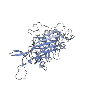 23201_7l6b_x_v1-1
The empty AAV12 capsid