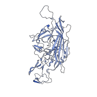 23201_7l6b_y_v1-1
The empty AAV12 capsid