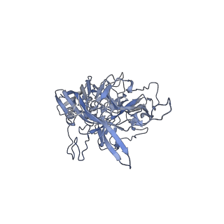 23201_7l6b_z_v1-1
The empty AAV12 capsid