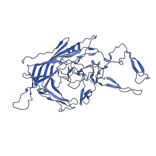 23202_7l6e_1_v1-1
The genome-containing AAV11 capsid