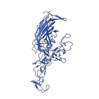 23202_7l6e_2_v1-1
The genome-containing AAV11 capsid