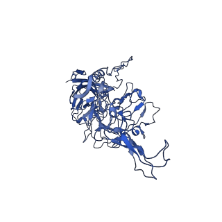 23202_7l6e_3_v1-1
The genome-containing AAV11 capsid