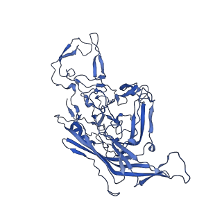 23202_7l6e_5_v1-1
The genome-containing AAV11 capsid