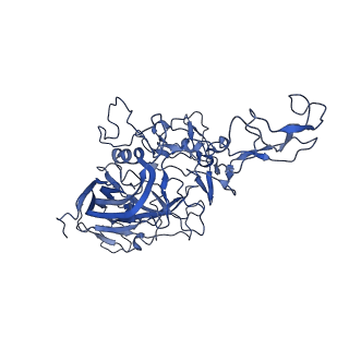 23202_7l6e_6_v1-1
The genome-containing AAV11 capsid