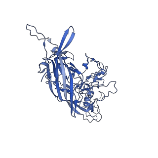 23202_7l6e_7_v1-1
The genome-containing AAV11 capsid