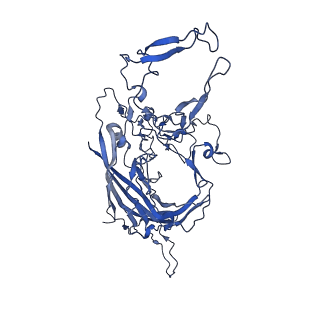 23202_7l6e_8_v1-1
The genome-containing AAV11 capsid