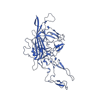 23202_7l6e_A_v1-1
The genome-containing AAV11 capsid