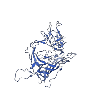 23202_7l6e_C_v1-1
The genome-containing AAV11 capsid