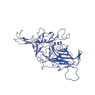 23202_7l6e_D_v1-1
The genome-containing AAV11 capsid