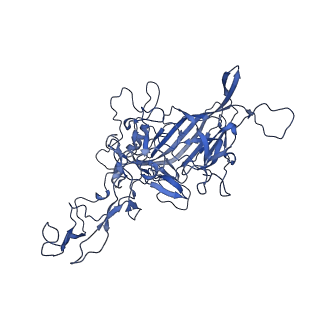 23202_7l6e_E_v1-0
The genome-containing AAV11 capsid