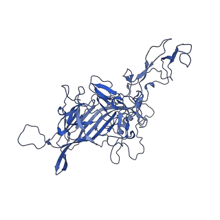 23202_7l6e_G_v1-1
The genome-containing AAV11 capsid