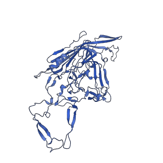 23202_7l6e_H_v1-1
The genome-containing AAV11 capsid