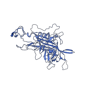 23202_7l6e_I_v1-0
The genome-containing AAV11 capsid