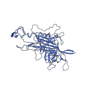 23202_7l6e_I_v1-1
The genome-containing AAV11 capsid