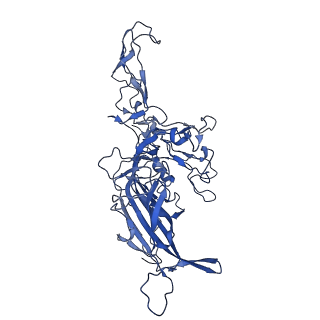 23202_7l6e_J_v1-0
The genome-containing AAV11 capsid