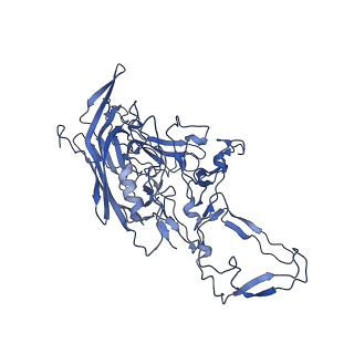 23202_7l6e_K_v1-1
The genome-containing AAV11 capsid