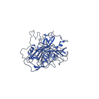 23202_7l6e_L_v1-0
The genome-containing AAV11 capsid
