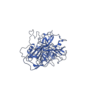 23202_7l6e_L_v1-1
The genome-containing AAV11 capsid